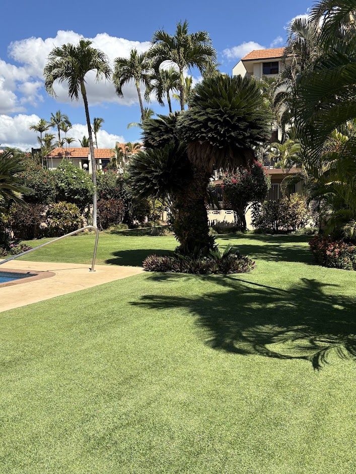 Courtyard in 2-bedroom unit at Wailana Sands
